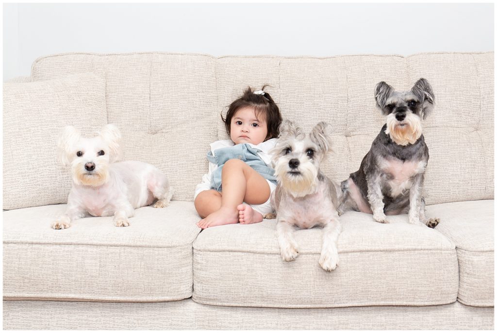 baby with dogs in new home